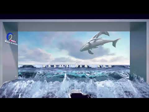Qiangli Glass-free 3D Video for LED display