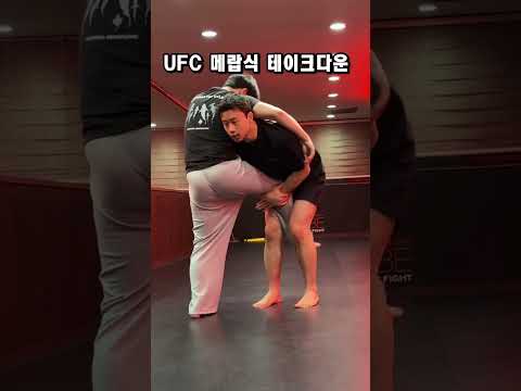 UFC메랍의 복슬링 기술