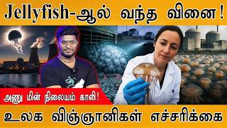 Jellyfish-ஆல் வந்த வினை | அணு மின் நிலையம் காலி | France | Karthick MaayaKumar | Episode 6215