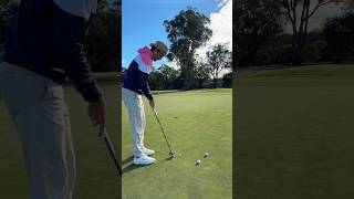Which putter do I choose? #golf