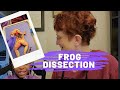 Frog Anatomy and Dissection Concepts
