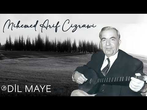 Mihemed Arif Cizrawi - Dil Maye