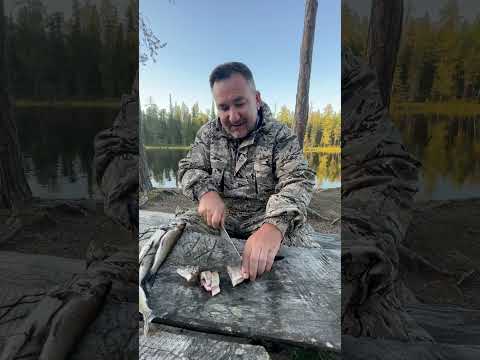 Карелия. Закуска из хариуса