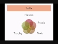 Exploring Medical Terminology: Roots, Prefixes, and Suffixes