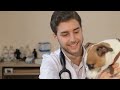 Flea and Tick Care Knowledge