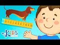 Measuring Length: A Fun Exploration of Units