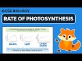 Photosynthesis and Graphing Concepts