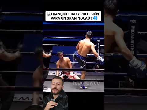 La calma y participando precisión de este nocaut son increíbles ☠️🥶   #mma #ufc #muaythai
