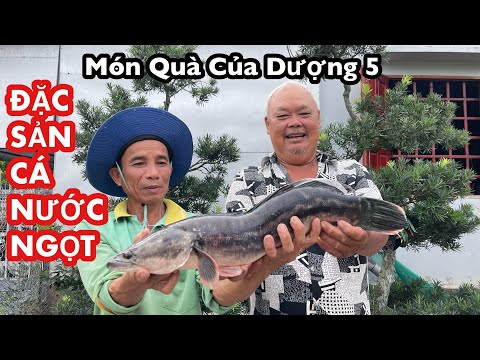 LÓC BÔNG 2,5KG NHÚNG GIẤM NHẬU "Lai Rai" BUỔI CHIỀU TẠI CHÒI BÔNG LÚA ĐỒNG THÁP