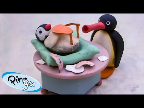 Pingu's Little Sister, Pinga 🐧 | Pingu - Official Channel | Cartoons For Kids