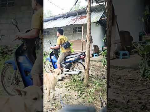 ยิ่งรีบๆอยู่รถกะเสีย #คลปตลก #funny #คลายเครียด #ตลก