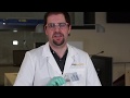 Understanding Fingerprint Development with Iodine