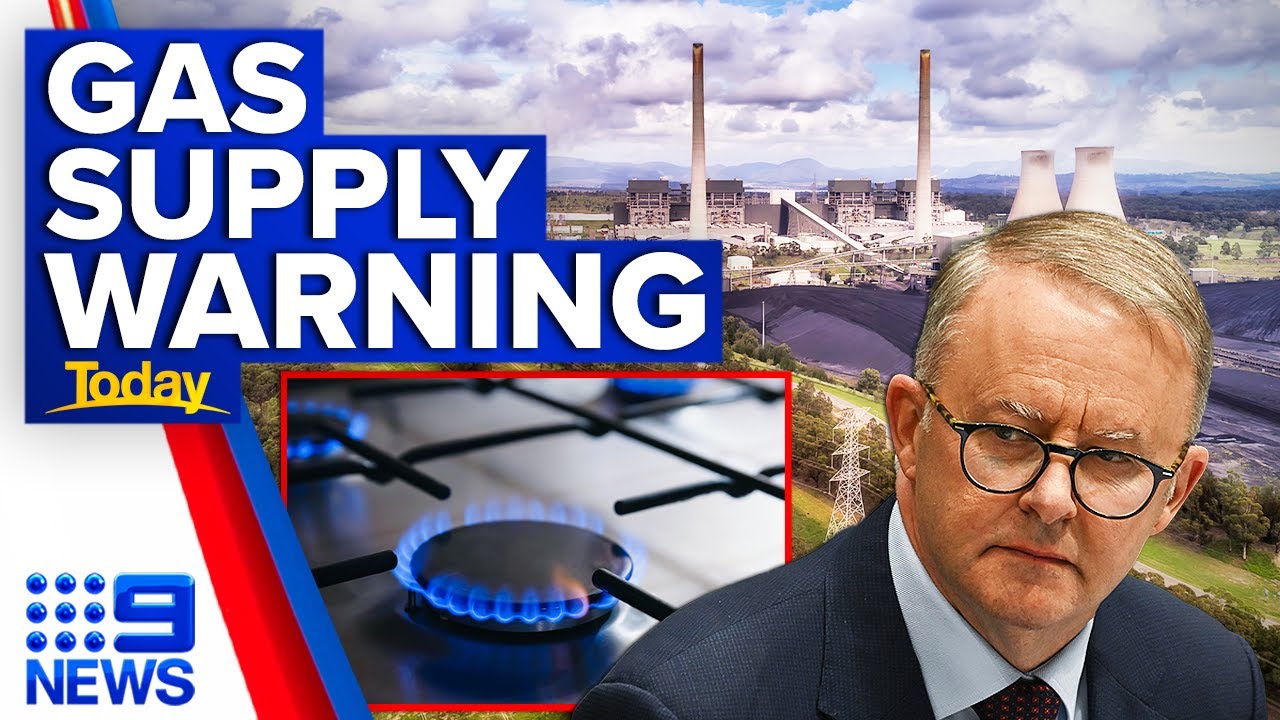 Albanese Stands Firm on ACCC’s Gas Shortage Prediction