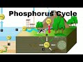 Phosphorus in Aquatic Ecosystems