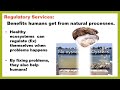 Ecosystem Services and Functions