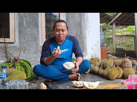 Durian jumasi durian mini dr tanah pasundan