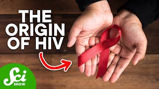 How a Sick Chimp Led to a Global Pandemic: The Rise of HIV