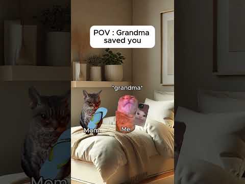 Cat memes 🐱 Grandma saved you #catmemes #relatable #cat #catshorts #shorts #grandma
