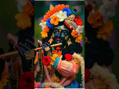 Radhe Radhe❤️🥰🙏#radhakrishn#krishn #krishnwold #viralreel#radharani #viral #dwarka #dwarkadhish