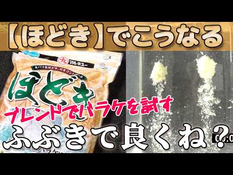 【新エサ性能チェック】マルキュー【ほどき】をブレンドで【カクシン】がこうバラけます!もちグルでも試してみた!