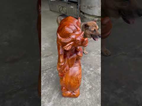 Lương chi để ở đâu
