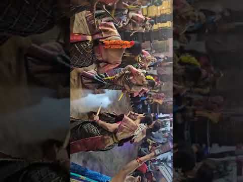 Swamiyai Aayapa Song Kolatam by C.Meena Kumari | Ayyapa Telugu Songs Kolatam | Sabarimala Ayyapa