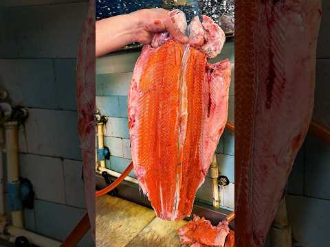 Sezonu Kaçırmadan Bol Bol Balık Yiyin Sağlıklı Kalın !