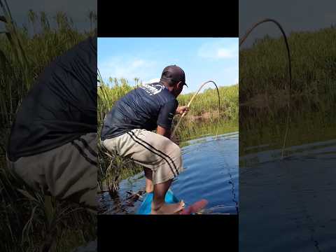 The fish was so big he couldn't pull it up #fishing