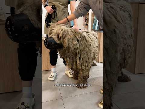 Делайте ставки, господа!