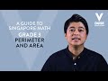 Perimeter and Area Concepts
