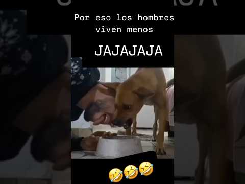 #animals #funny #explore #youtube #youtubeshorts #video #viralvideo #subscribe #amor #humor #foryou