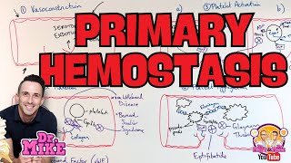 Primary Hemostasis | Physiology, Pathophysiology, and Pharmacology