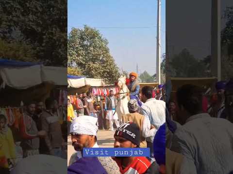 ਨਿਹੰਗ ਸਿੰਘ || Nihang Singh || Khalsa #shorts