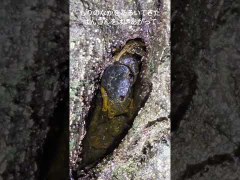 いのちをつなぐみず(文字つき)