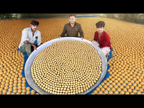 WORLD RECORD: 11,000 Laddus Made in 2 Hours! | Fastest Sweet Making Ever
