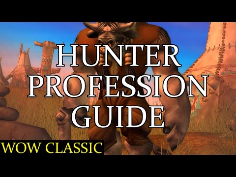 best professions for hunter wow
