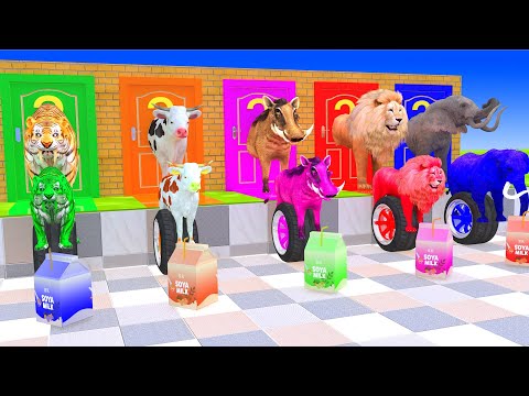 5 Giant Duck Cartoon, Cow, Mammoth, Elephant, Tiger, Paint Wild Animals Crossing Fountain Animation