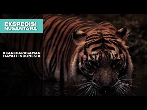Keanekaragaman hayati Indonesia