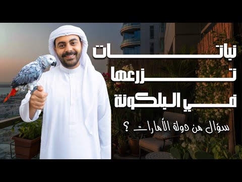 افضل نباتات شمس و ظل بتتحمل مناخ دول الخليخ و المناطق الحارة 🌿🌸