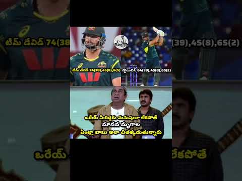 #marcusstoinis#timdavid#cricketfans#cricket#trending#shorts#videos#fun#comedy#telugu#india