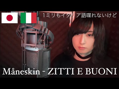 1ミリもイタリア語喋れないけどMåneskinのZITTI E BUONI歌ってみた！