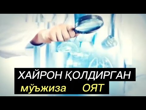 БУ ОЯТ ИЛМ ЭГАЛАРИНИ ЛОЛ ҚОЛДИРДИ