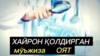 БУ ОЯТ ИЛМ ЭГАЛАРИНИ ЛОЛ ҚОЛДИРДИ