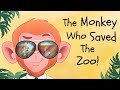 Zoo Adventures: Chaos and Characters