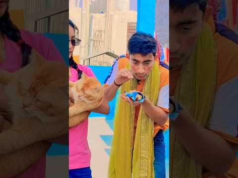 Amaira Ko mila puppy 🐕 OBJ#short #thegeetagurjarOBJ