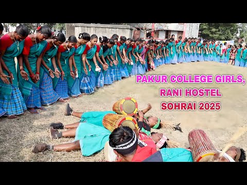 Pakur College Girls, Rani Hostel Sohrai 2025 | New Santali Sohrai Video 2025