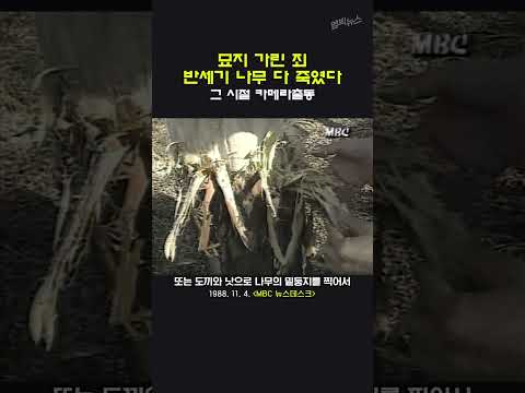 [그 시절 카메라 출동] <strong>도끼</strong> 살목마