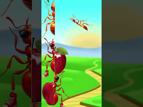 tebak anomali pel pel pelmut #shorts #cartoon #kartun #fypシ #funny