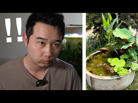 I found the CRAZIEST outdoor MINI Pond | Fish Tank ►► JOIN the Fishkeeping Discord & SUBMIT your Fish Tank https_//bit.ly/3z05bpC
🙏 Thank you fo