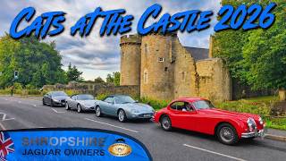 Cats at the Castle 2026